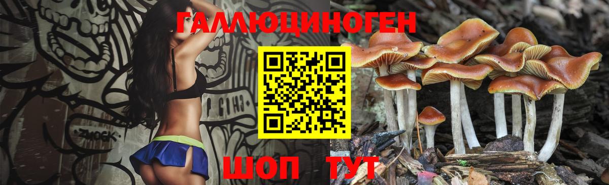 Галлюциногенные грибы MAGIC MUSHROOMS  Вход с VPN  Мытищи 